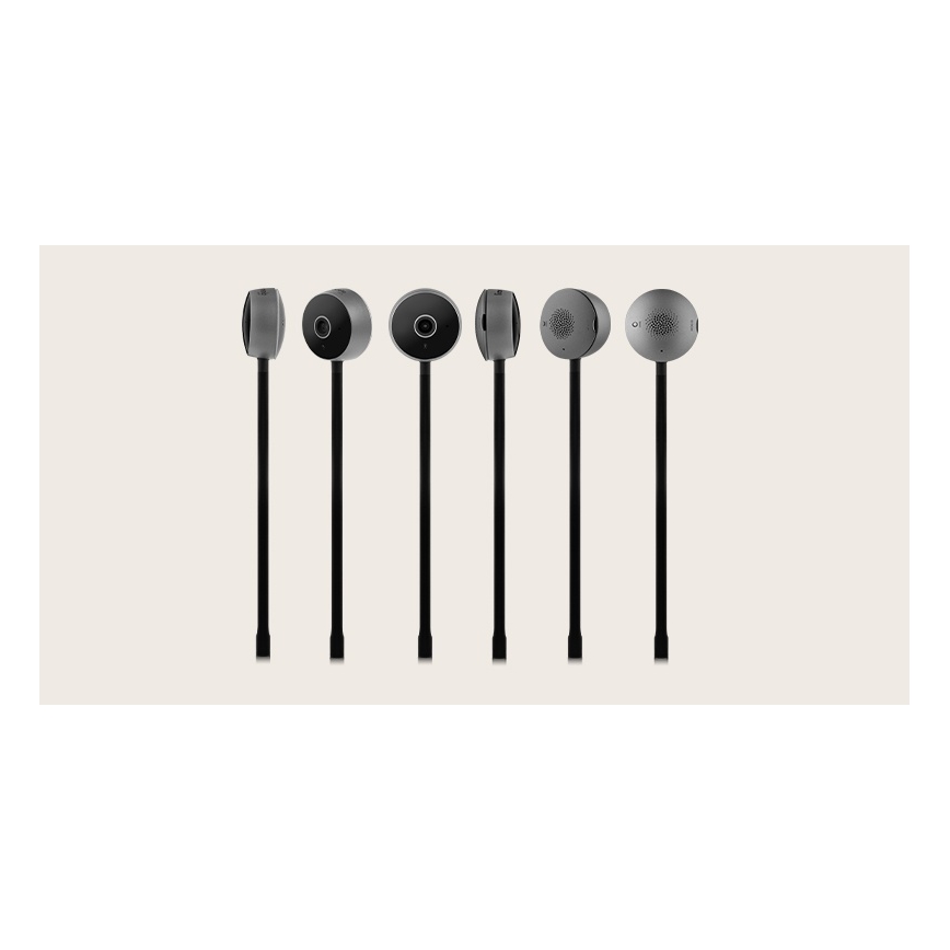 Lionelo - Monitor de bebé inteligente BABYLINE SMART Wi-Fi Negro