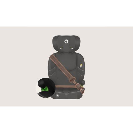 Lionelo - Silla de coche BILLY i-Size 76-150 cm Negro carbón