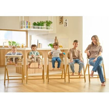Lionelo - Trona infantil 3 en 1 CELIA Grey Wood