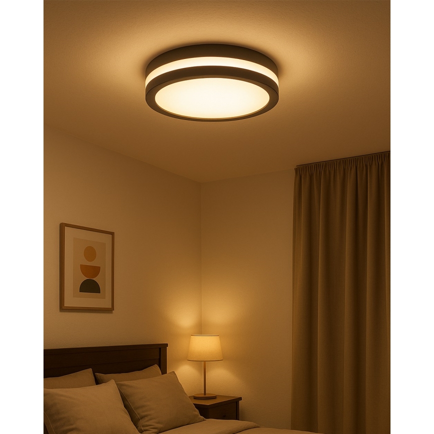 Plafón LED de baño con sensor de movimiento / 20 W / 230 V / 3000/4000/6500 K / diámetro 23 cm / IP54 / antracita