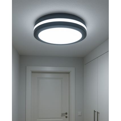 Plafón LED de baño con sensor de movimiento / 20 W / 230 V / 3000/4000/6500 K / diámetro 23 cm / IP54 / antracita
