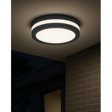 Plafón LED de baño con sensor de movimiento / 20 W / 230 V / 3000/4000/6500 K / diámetro 23 cm / IP54 / antracita