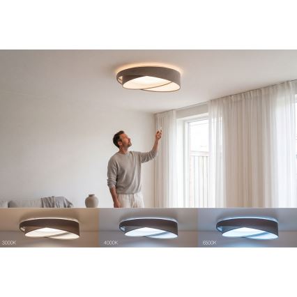 Lámpara de techo LED regulable SMART GALAXY MODERN LED/24W/230V 3000-6500K diámetro 55 cm gris/blanco + mando a distancia