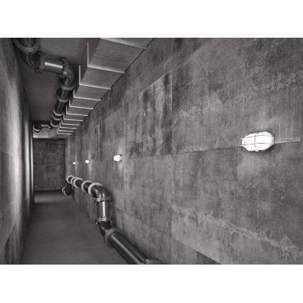 Luminaria de techo para exterior OVAL 1xE27/60W/230V IP44 blanca