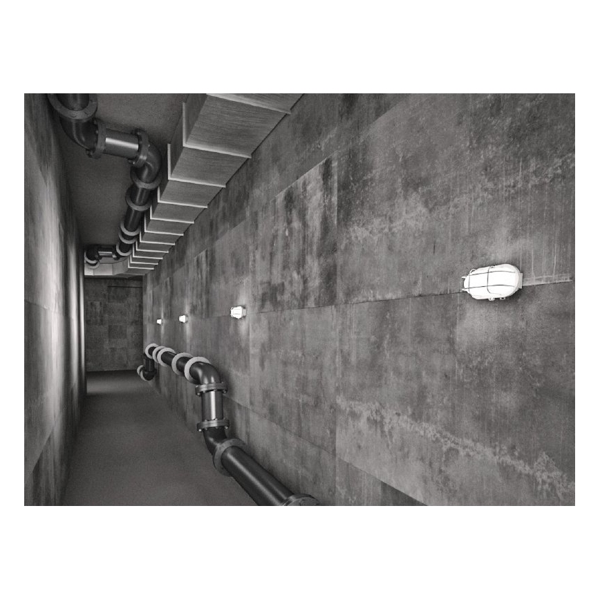 Luminaria de techo para exterior OVAL 1xE27/60W/230V IP44 blanca