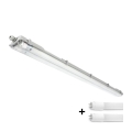 Luminaria técnica LED para tubos T8, 2x G13 / 18 W / 230 V / 6500 K / IP65 / 127 cm