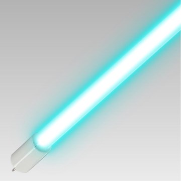 Luxera 70419 - Tubo germicida UVC T5 para desinfección, 8 W, 230 V