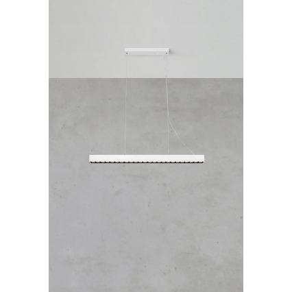Markslöjd 108892 - Lámpara colgante LED regulable de cable PLANO LED/38W/230V blanca