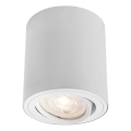 Markslöjd 109020 - Foco LED regulable DIRETTO LED/5W/230V CRI 90 blanco