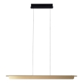 MAXLIGHT P0596 - Lámpara colgante LED regulable sobre cable JO-JO LED/40W/230V 2700/4500/5500K dorada
