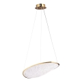 MAXLIGHT P0637D - Lámpara colgante con cable EMPIRE LED/17W/230V dorada