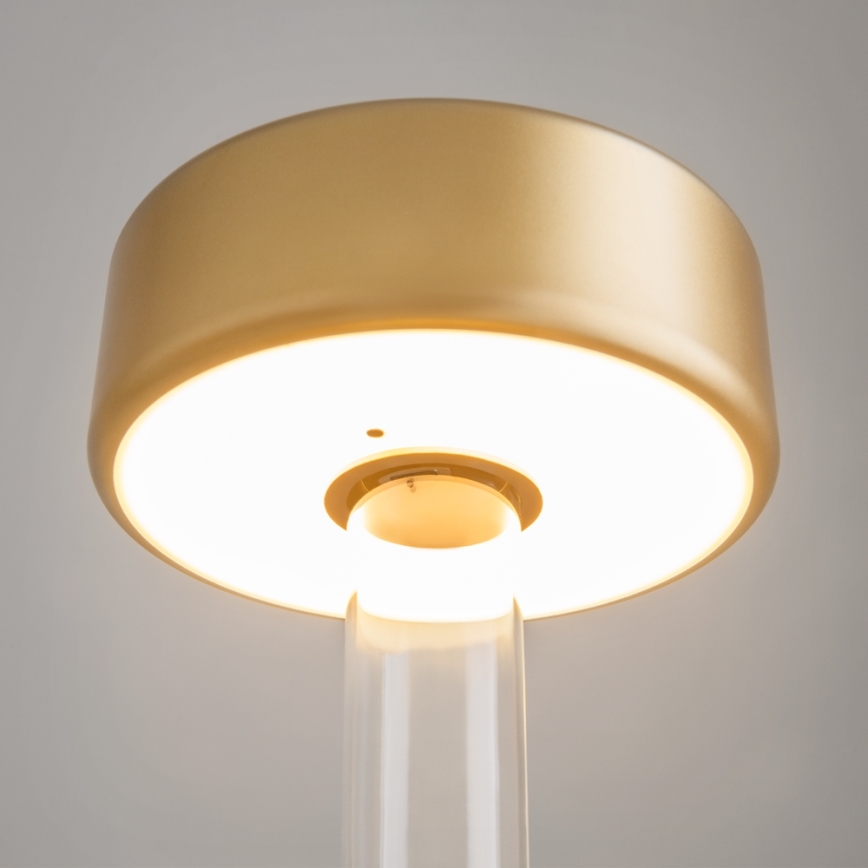 Maytoni MOD229TL-L3G3K1 - Lámpara de mesa portátil recargable LED regulable LED/3W/5V 2200-4000K 2000 mAh dorado/transparente