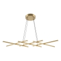 Maytoni MOD244PL-L50BSK - Lámpara colgante LED HALO con cable, LED/40W/230V, acabado dorado