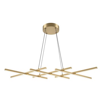 Maytoni MOD244PL-L50BSK - Lámpara colgante LED HALO con cable, LED/40W/230V, acabado dorado