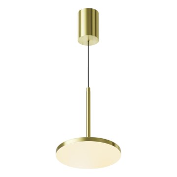 Maytoni P076PL-L12W3K-BS - Lámpara LED colgante PLATO LED/12W/230V 3000K dorado