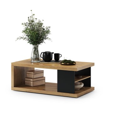 Mesa de centro con balda y espacio de almacenamiento LORA 110x60 cm roble artisan/negro