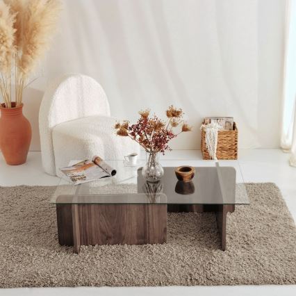 Mesa de centro ESCAPE 30x105 cm marrón/transparente