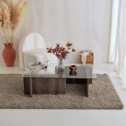 Mesa de centro ESCAPE 30x105 cm marrón/transparente