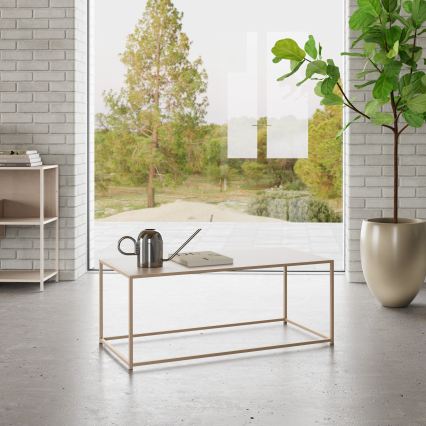 Mesa de centro SARON 100x50 cm gris