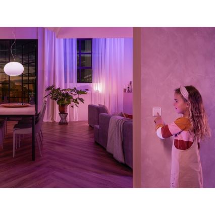 Módulo de interruptor de pared Philips Hue SWITCH