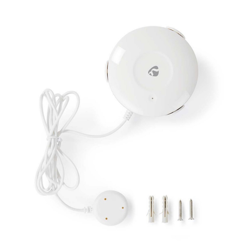 Detector de fugas de agua 3V/1xCR123A + 1xCR2/20dBm Wi-Fi