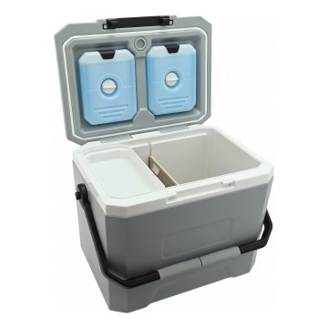 Nevera portátil con pack refrigerante de 16 l, gris