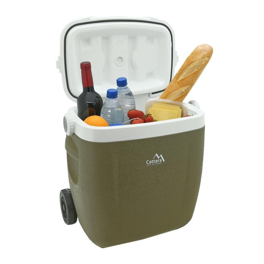Nevera portátil con ruedas 16 l, verde