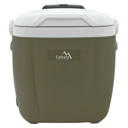 Nevera portátil con ruedas 16 l, verde