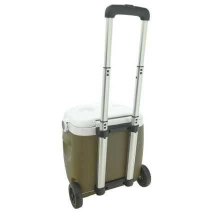Nevera portátil con ruedas 16 l, verde