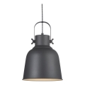 Nordlux - Lámpara colgante ADRIAN 1xE27/40W/230V diá. 25 cm antracita