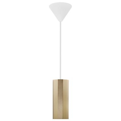 Nordlux - Lámpara colgante con cable ALANIS 1xGU10/15W/230V