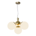 Nordlux - Lámpara colgante IVONA 4xE27/28W/230V dorado