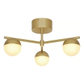 Nordlux - Lámpara de techo CONTINA 3xG9/5W/230V latón