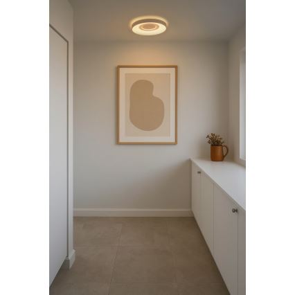 Nordlux - Luminaria de techo LED regulable HALYNA LED/24W/230V 2700/3000/4000K Ø 39,5 cm