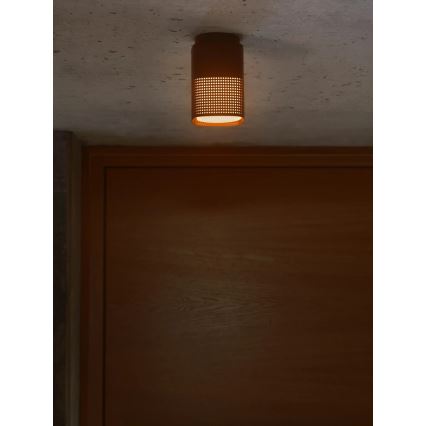 Nordlux - Luminaria de techo para exterior SIDARA 1xE27/15W/230V IP54 marrón