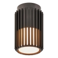 Nordlux - Plafón de exterior ALUDRA 1xE27/15W/230V diá. 12,4 cm negro