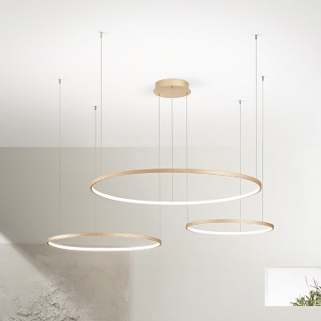 Ondaluce - Lámpara colgante LED regulable con cable SOEL LED/28W/230V + LED/38W + LED/47W Ø 100/80/60 cm dorada