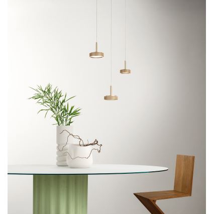 Ondaluce - Lámpara colgante LED suspendida por cable NINA LED/20W/230V Ø 19 cm color oro