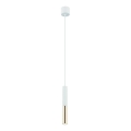 Open Design OR80841 - Lámpara colgante con cable SLIMI 1xG9/3,5W/230V blanco/dorado