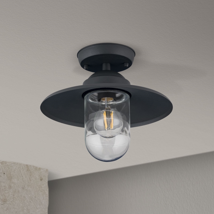 Lámpara de techo exterior de superficie EDWARD 1xE27/60W/230V IP44 antracita