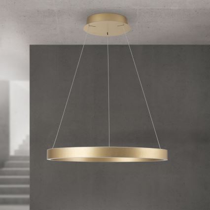 Lámpara colgante LED regulable con cable KOLK LED/60W/230V 2700/3000/4000K Ø 60 cm dorada