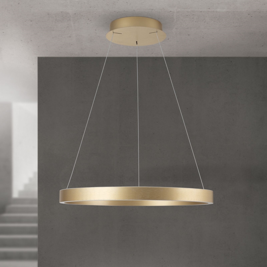 Lámpara colgante LED regulable con cable KOLK LED/60W/230V 2700/3000/4000K Ø 60 cm dorada