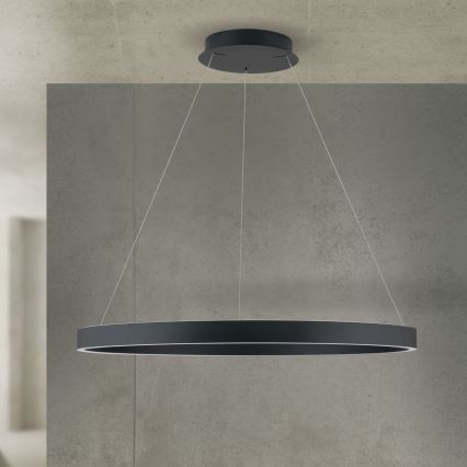 Lámpara colgante LED regulable en cable KOLK LED/80W/230V 2700/3000/4000K diámetro 80 cm negra