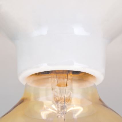 Lámpara de techo FROST 1xE27/60W/230V blanca