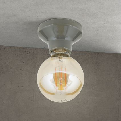 Lámpara de techo FROST 1xE27/60W/230V gris