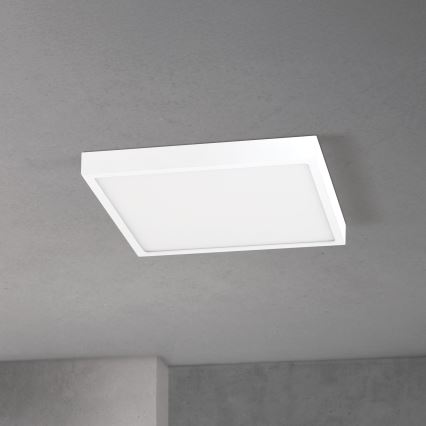 Luminaria de techo LED regulable DISC LED/30W/230V 2700/3000/4000K 39x39 cm blanco