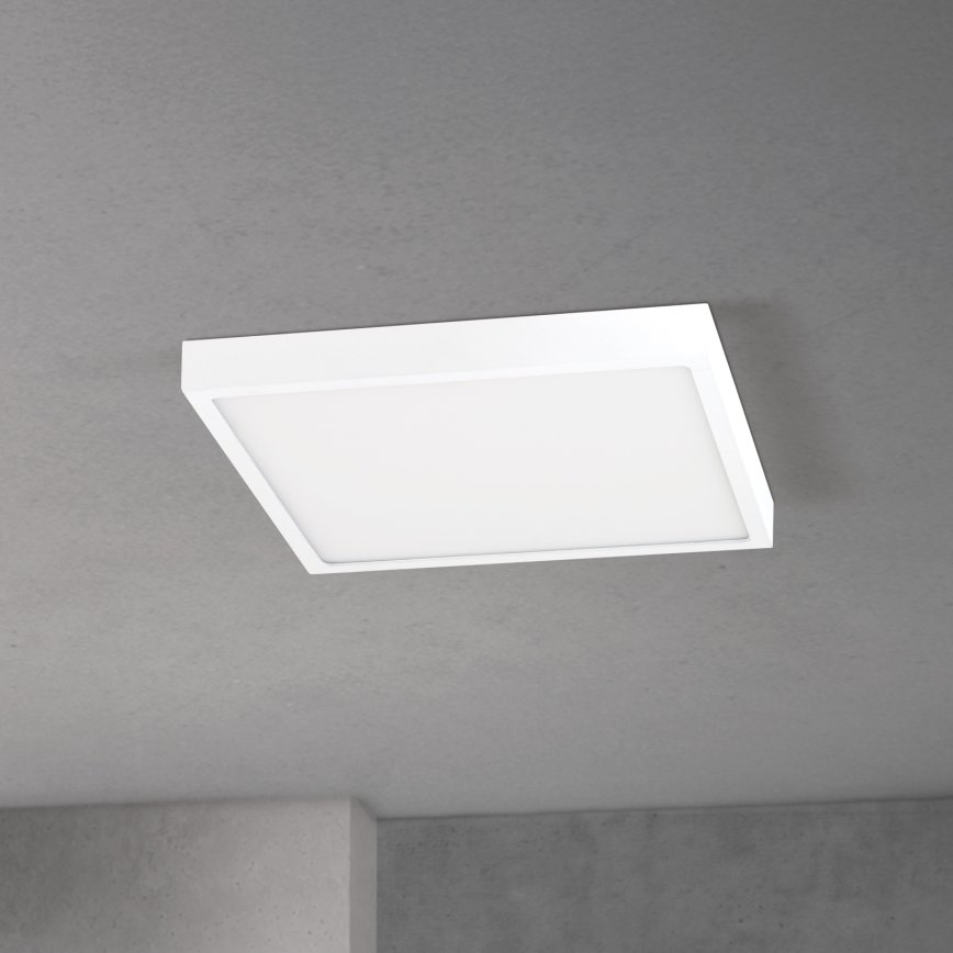 Luminaria de techo LED regulable DISC LED/30W/230V 2700/3000/4000K 39x39 cm blanco
