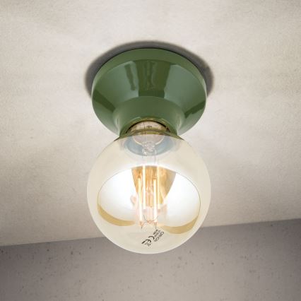 Lámpara de techo FROST 1xE27/60W/230V verde