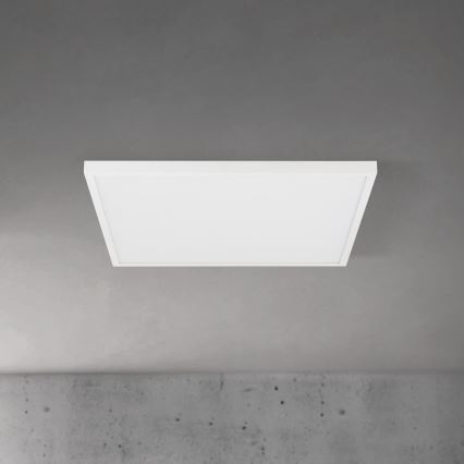 Luminaria de techo LED regulable DISC LED/46W/230V 2700/3000/4000K 59x59 cm blanca