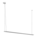 Osram - Lámpara colgante LED regulable suspendida en cable OFFICE LINE LED/40W/230V 4000K 120 cm blanca